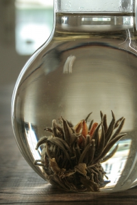 teathings-glassflask-1-5