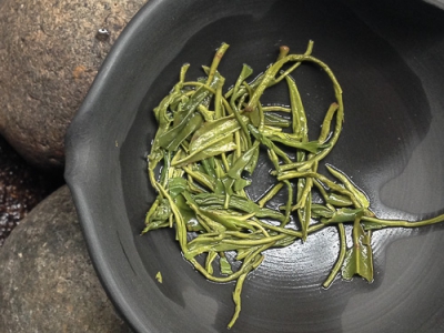 teathings-teacup-1-6